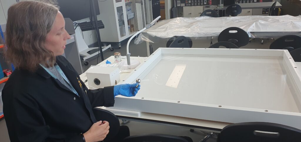 Libby Ireland with artwork undergoing conservation
